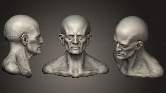 Анатомия скелеты и черепа (Голова Старого Чувака, ANTM_0923) 3D модель для ЧПУ станка